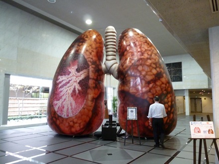 2014年度世界COPDデー メディアフォーラム「日本COPDサミットからの提言」~健康寿命延伸においてCOPD予防・治療が果たす役割~ 実施記録(写真)9