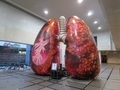 2015年度日本COPDサミット「肺の生活習慣病 -COPDは全身におよぶ病気です-」~健康寿命延伸に向けて変わるCOPD予防・治療の最前線~ 実施記録 (写真)