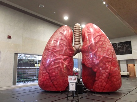 2016年度日本COPDサミット「肺の生活習慣病 -COPDは全身におよぶ病気です-」 実施記録(写真)1
